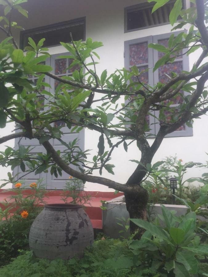 Hang Mua Happiness Homestay Ninh Binh Zewnętrze zdjęcie